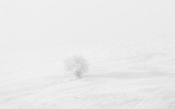 冬日雪景图片 精选冬日雪景风景图片高清电脑壁纸