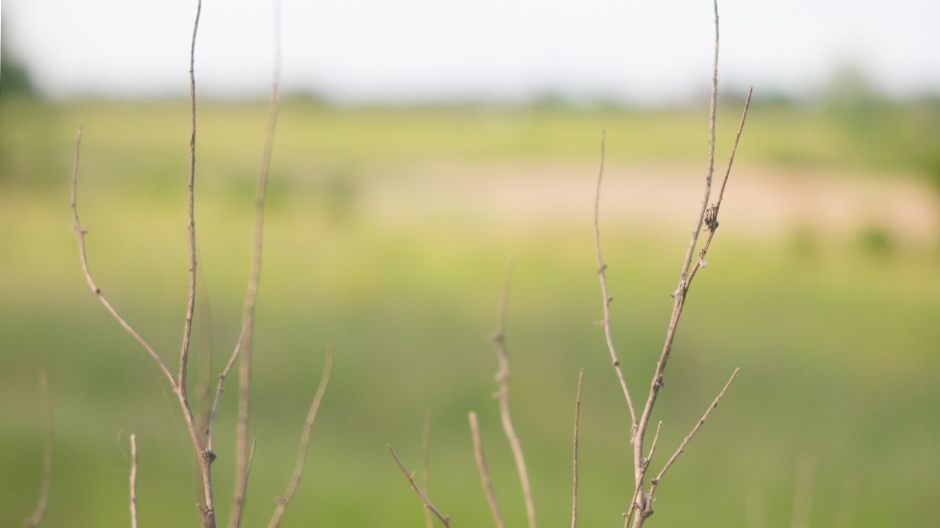 田园风光图片 田园风光图片高清自然桌面壁纸