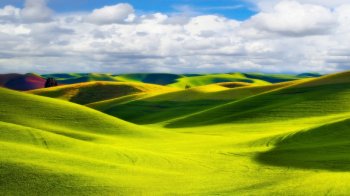 草原风光的图片大全 精选绿色护眼美丽的草原风光美景图片桌面壁纸下载第二辑