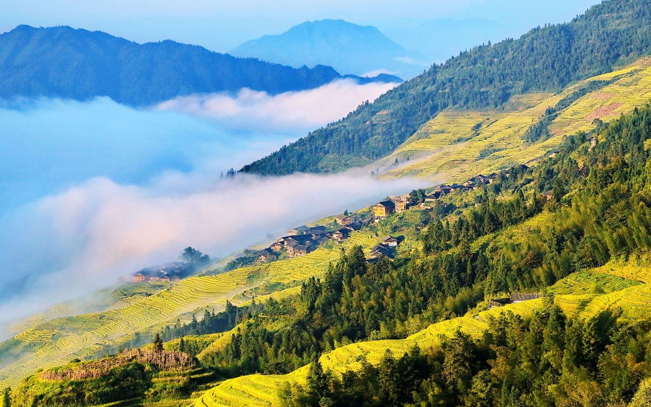 梯田的图片 梯田图片