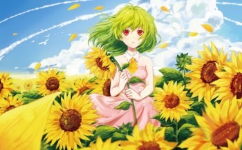 风见幽香动漫美图