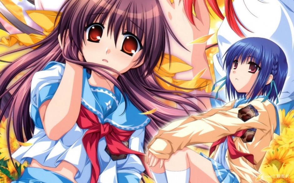 车轮之国向日葵的少女动漫图片