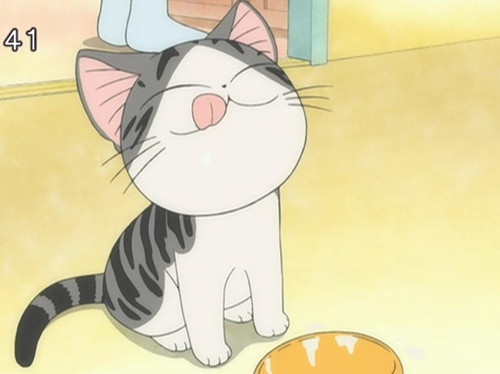 可爱动漫卡通猫咪图片