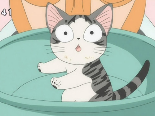 可爱动漫卡通猫咪图片