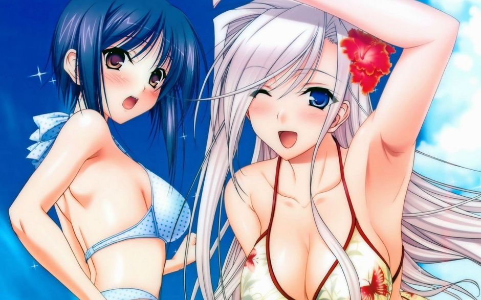 性感泳装动漫美女壁纸赏析