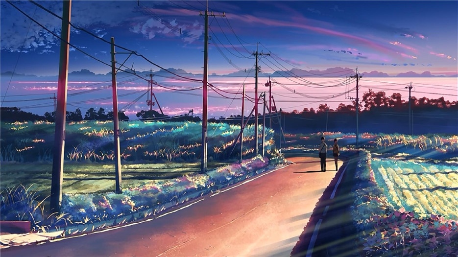 唯美的写真动漫极速五厘米壁纸