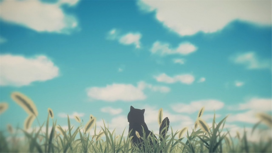 《她和她的猫》高清唯美动漫图片