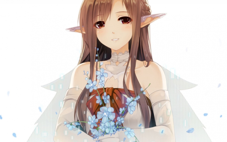 热血动漫刀剑神域亚丝娜高清壁纸