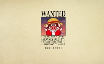 小猪滚滚cos海贼王图片