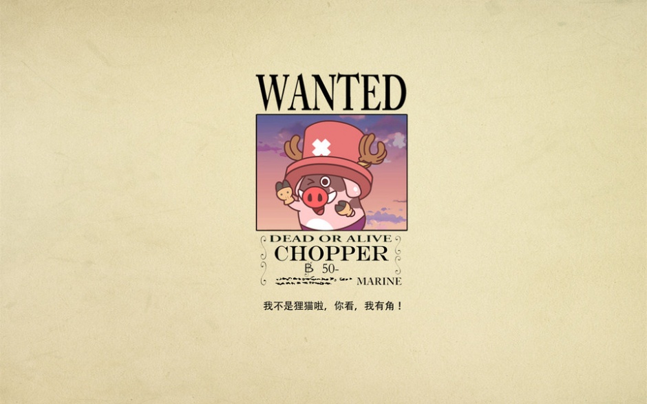 小猪滚滚cos海贼王图片