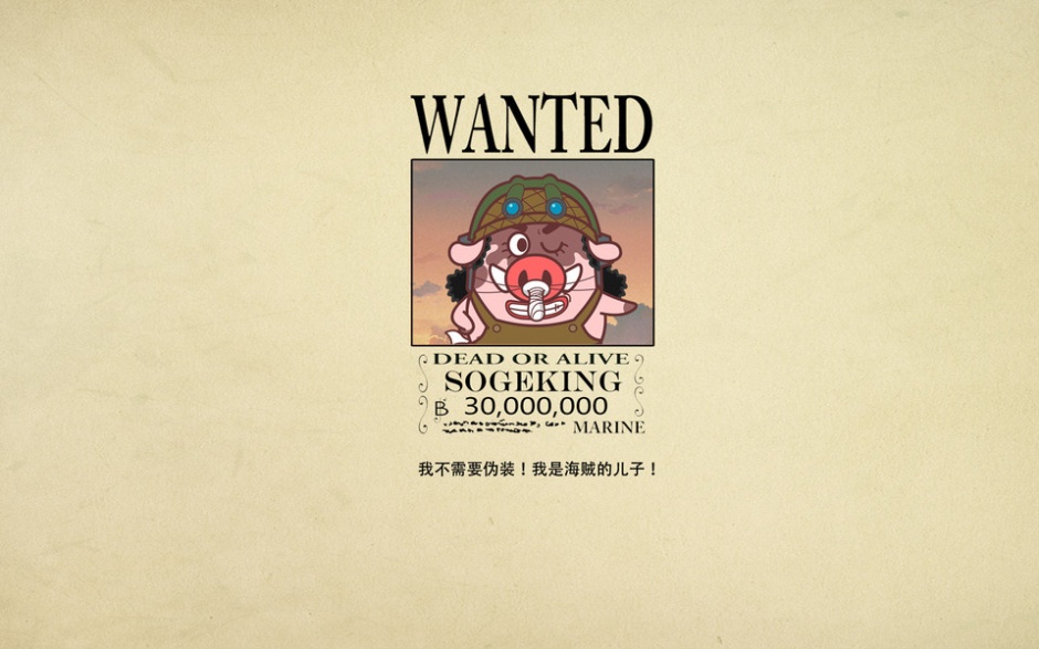 小猪滚滚cos海贼王图片