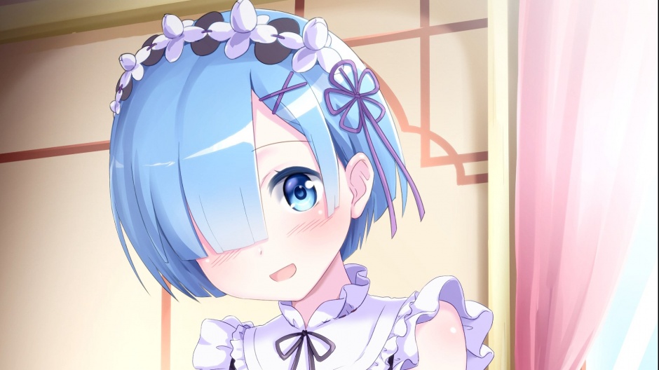 可爱风动漫少女超清雷姆壁纸