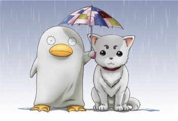 日本动漫银魂伊丽莎白壁纸