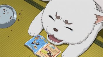 日本动漫银魂吉祥物定春图片