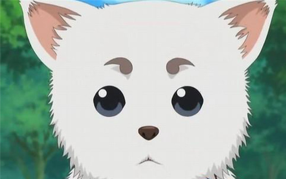 日本动漫银魂吉祥物定春图片