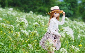 十二星座动漫Doll少女玩偶图片