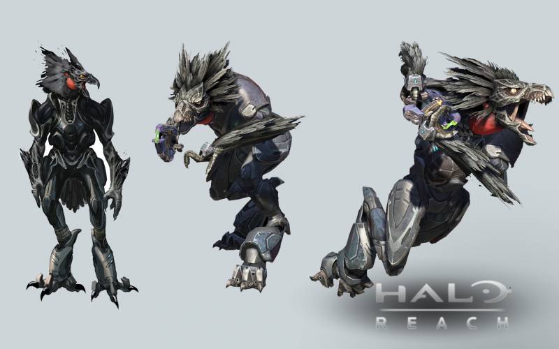 好玩的战斗游戏图片壁纸