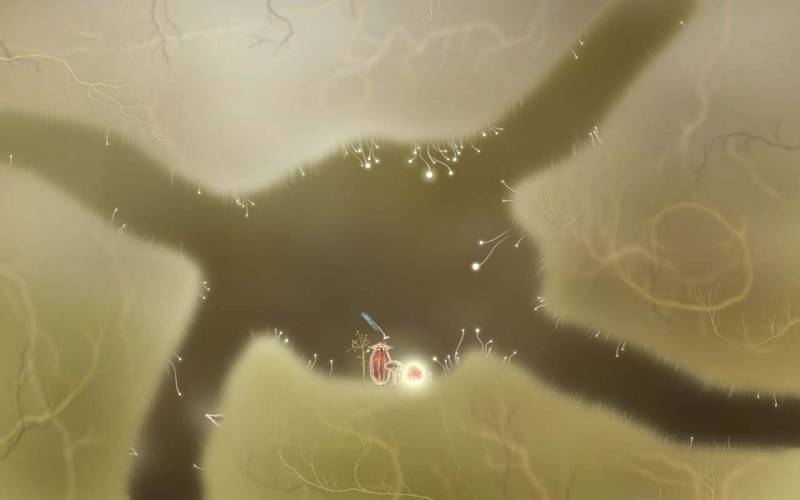 休闲益智小游戏《植物精灵》精美壁纸