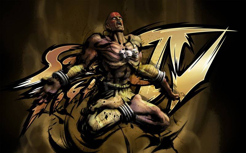 经典游戏 街霸人物图片大全