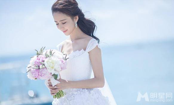 佟丽娅陈思诚浪漫唯美婚纱照