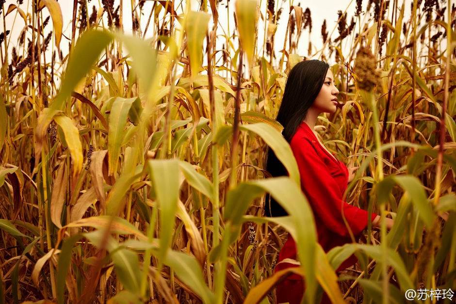 性感女神苏梓玲丰乳人体照欣赏