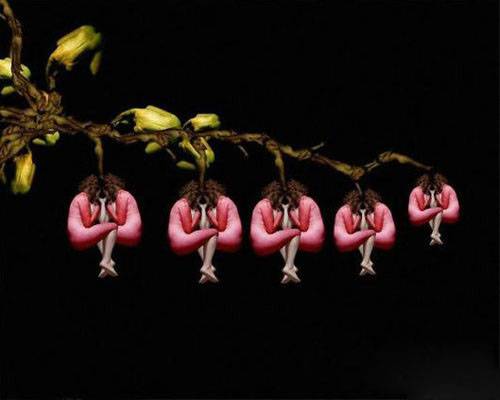 充满创意的人体艺术摄影组图