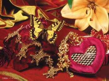 美丽的动物蝴蝶