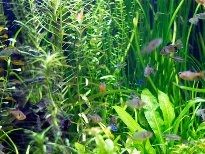 海洋馆里的生物