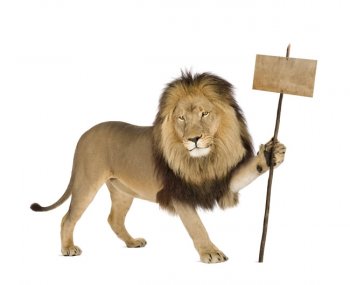 狮子广告高清图片
