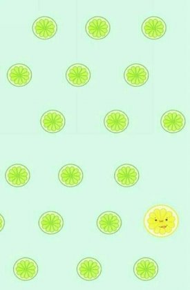 超可爱猫图片 盒子先生 可爱图片