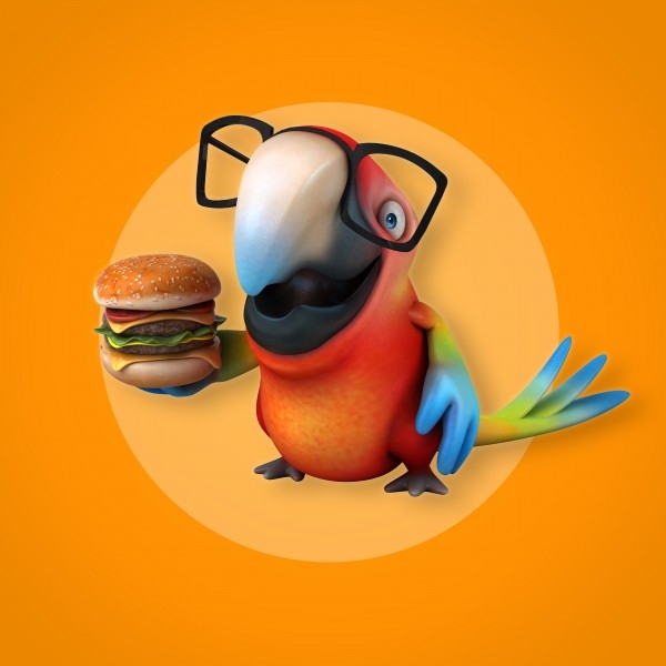 云斑鹦鹉图片 金刚鹦鹉图片