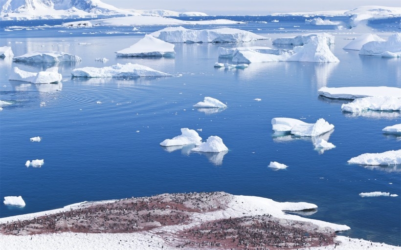 企鹅图片 可爱企鹅图片