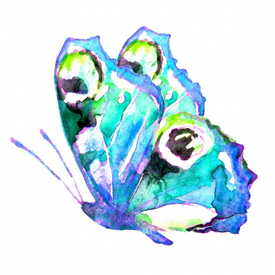 画工精巧细致的彩绘蝴蝶高清图片