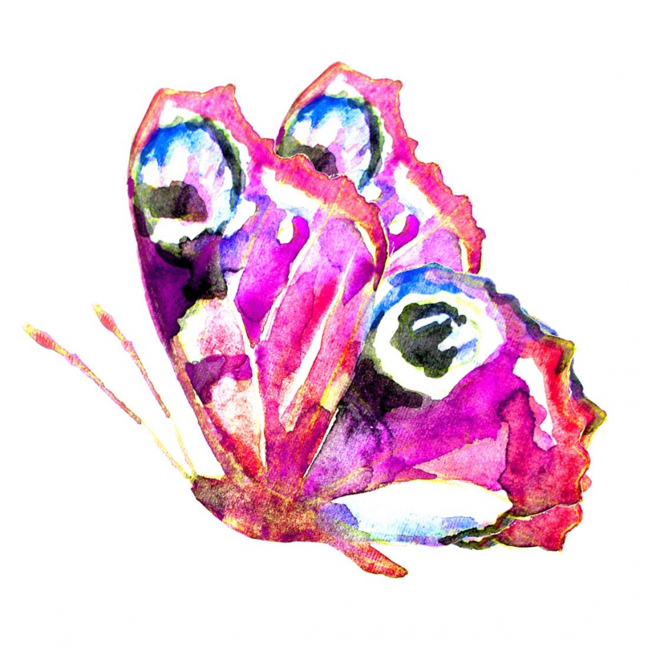 画工精巧细致的彩绘蝴蝶高清图片