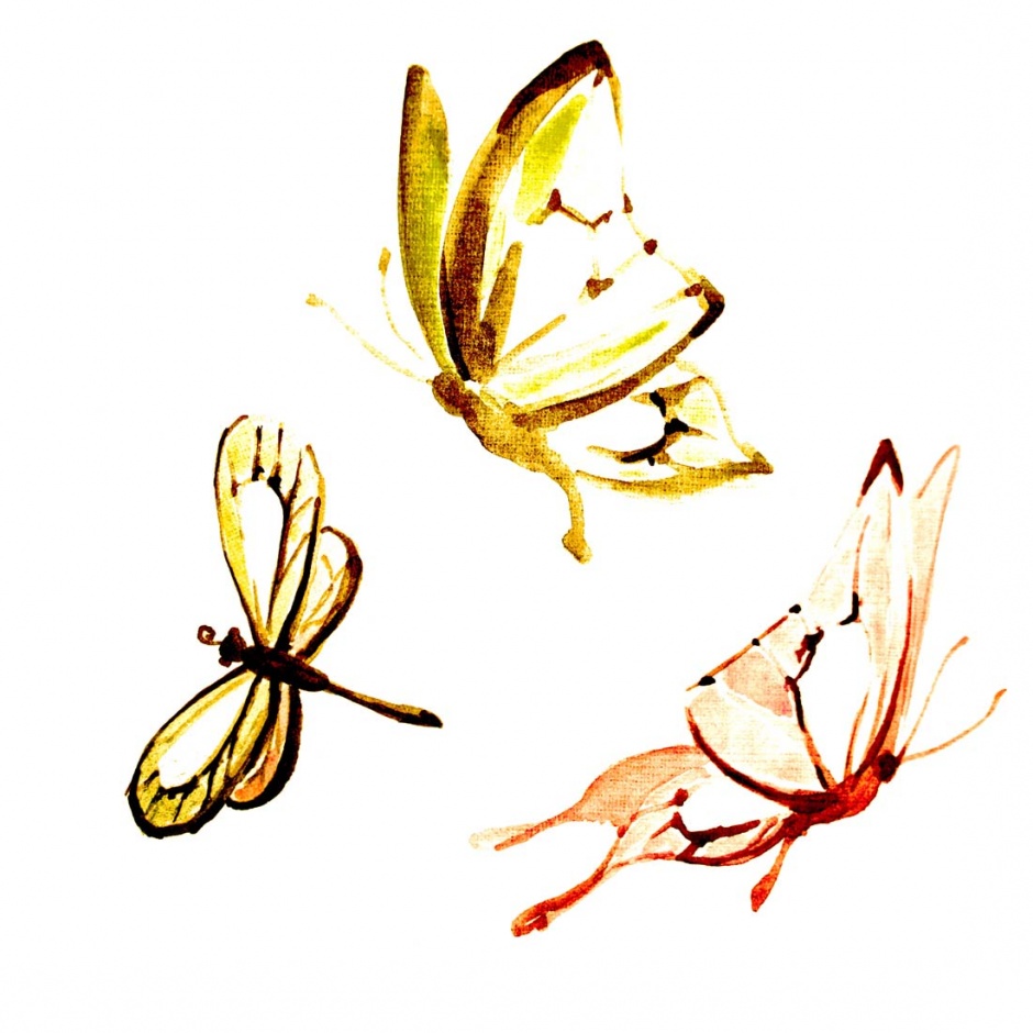 画工精巧细致的彩绘蝴蝶高清图片