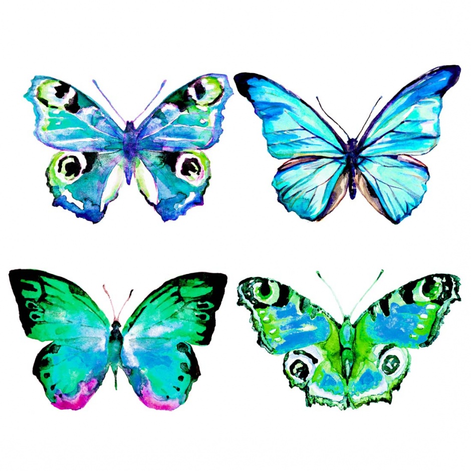 画工精巧细致的彩绘蝴蝶高清图片