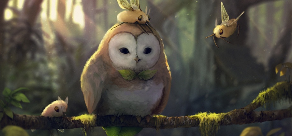 树枝上可爱的猫头鹰图片