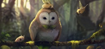 树枝上可爱的猫头鹰图片