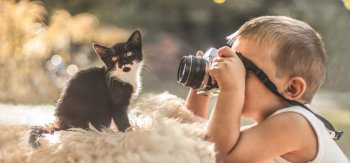 小清新意境超可爱猫咪壁纸