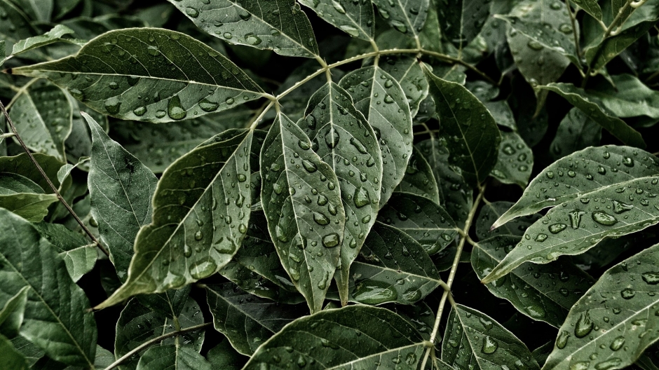 唯美世界风景高清桌面壁纸