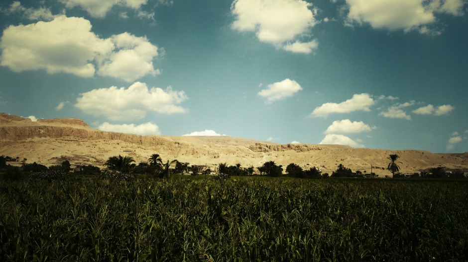 精美高清电脑宽屏壁纸