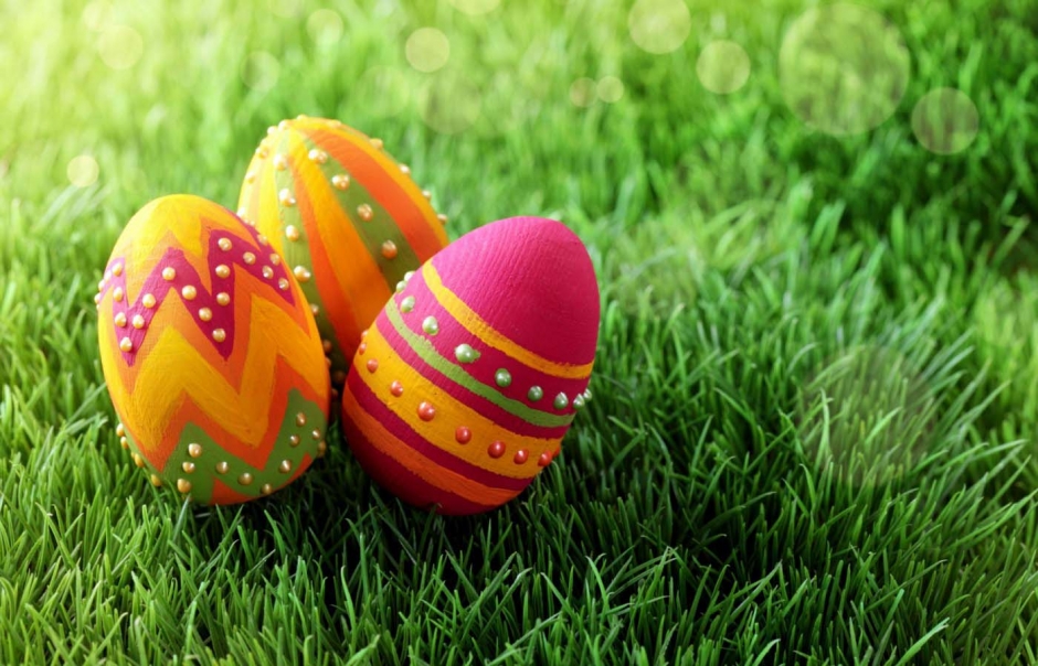 精选绿色植物桌面护眼壁纸