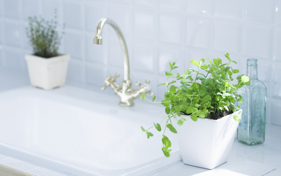 室内盆栽风景桌面壁纸第一辑