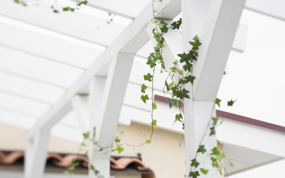 室内盆栽风景桌面壁纸第一辑