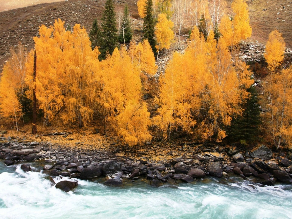 仙境喀纳斯风景