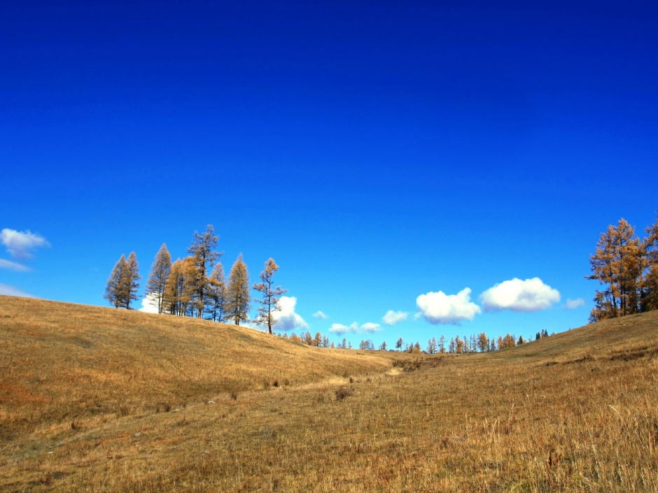 仙境喀纳斯风景