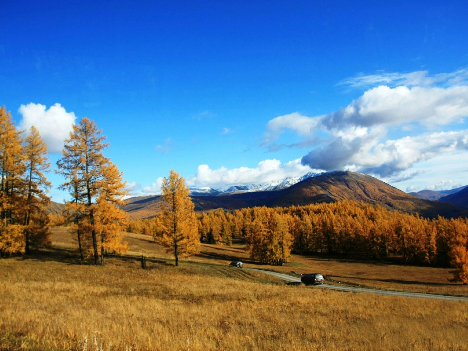 仙境喀纳斯风景