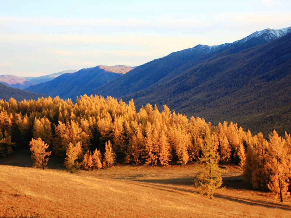 仙境喀纳斯风景