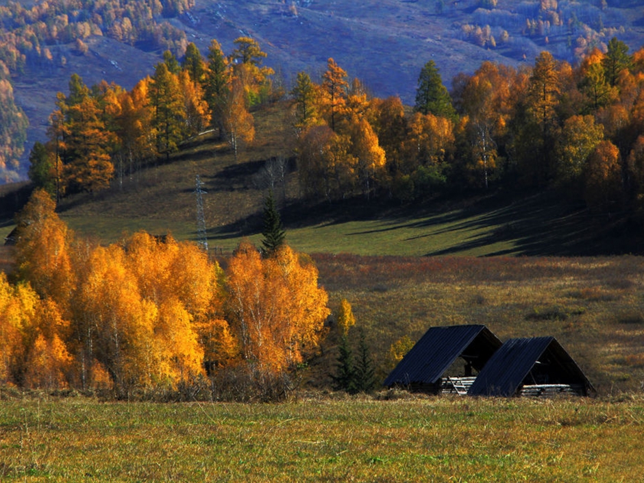 仙境喀纳斯风景