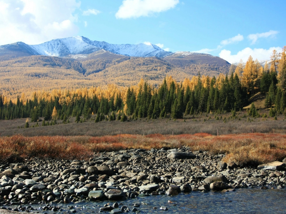 仙境喀纳斯风景